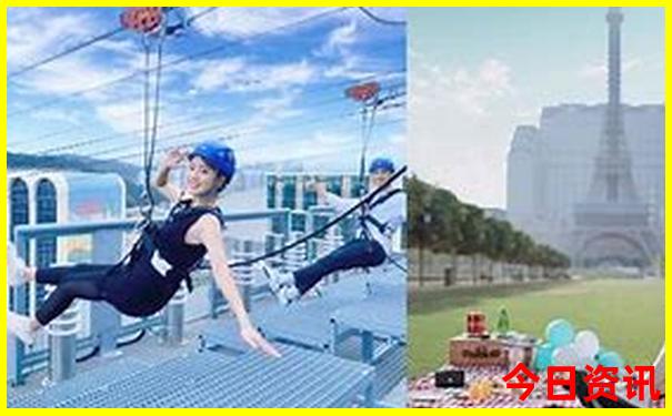 澳门王中王100的资料羊了个